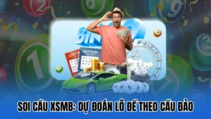 cầu đảo